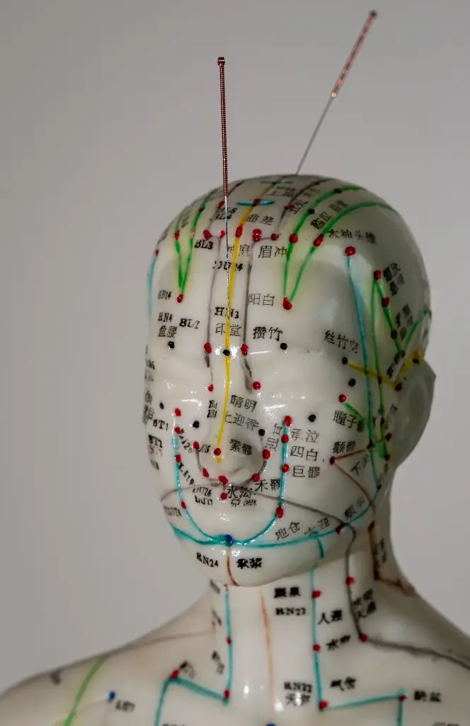 Extra Meridianen Qi Jing Ba Mei (mrt '26)