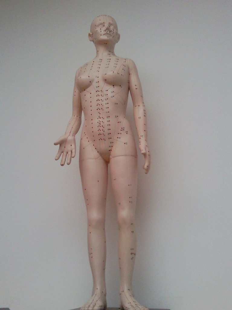 Basisjaar (workshop)