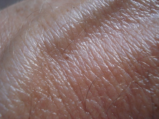 Dermatologie (mrt '27)